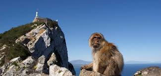 GIBRALTAR 11-14 NOVEMBER